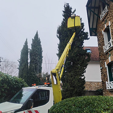 Entretien d'espaces verts et élagage à Champigny-sur-Marne dans le Val-de-Marne (94) - Elagage Reinhardt