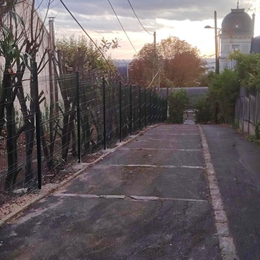 Entretien d'espaces verts et élagage à Champigny-sur-Marne dans le Val-de-Marne (94) - Elagage Reinhardt